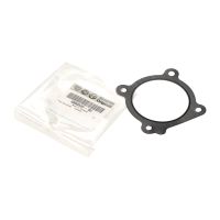 Gasket throttle valve