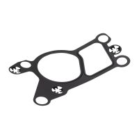 Gasket EGR valve