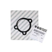 Gasket EGR valve