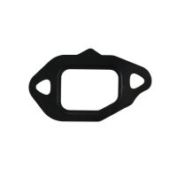 Gasket EGR valve