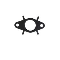 Gasket EGR valve