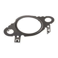 Gasket EGR valve