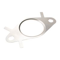 EGR valve seal Iveco OE