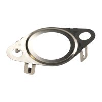 EGR valve seal Iveco OE 5801923074