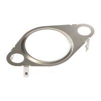 Gasket, EGR valve