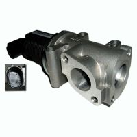 EGR valve