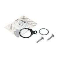 Seal kit for the EGR valve