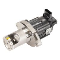 Throttle valve with EGR valve