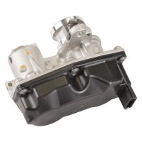 AGR valve
