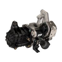 EGR module