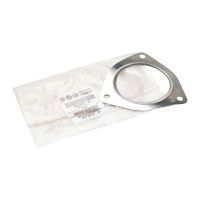 Exhaust gasket on catalytic converter