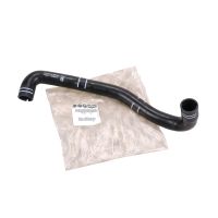 Suction hose