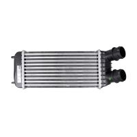 Intercooler 300-159-80 mm