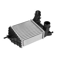 Intercooler 202-192-62 mm