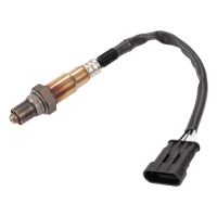Lambda probe OE