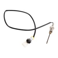 Temperature sensor, soot filter, rear