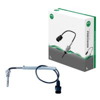 Exhaust gas temperature sensor