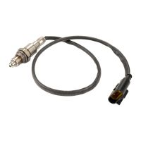 Lambda probe according to Kat Original FCA