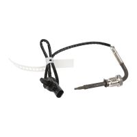Abgastemperatursensor