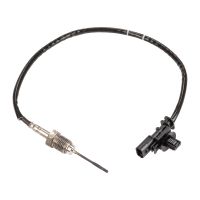 Exhaust gas sensor, temperature sensor