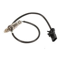 Lambda probe downstream