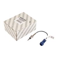 Temperature sensor EGR valve