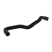 Oil ventilation hose engine