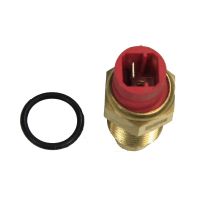 Thermofühler hinten für Anzeige