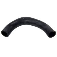 Kühlerschlauch unten