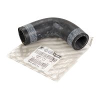 Radiator hose OE