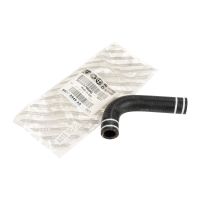 Radiator hose pipe thermostat