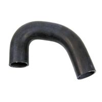 Radiator hose bottom thermostat