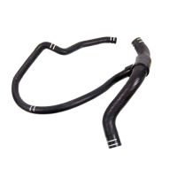 Radiator hose bottom