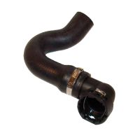 Radiator hose bottom right