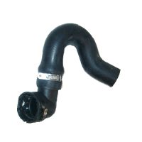 Radiator hose bottom right