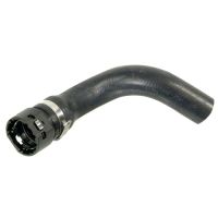 Radiator hose bottom right