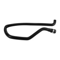 Radiator hose expansion tank