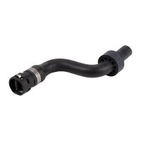 Radiator hose expansion tank engine