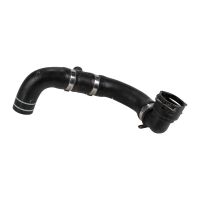 Radiator hose bottom