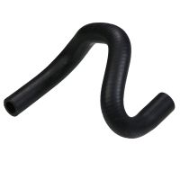 Radiator hose WAPU-oil cooler