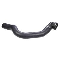 Radiator hose top radiator