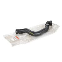 Radiator hose above radiator