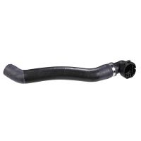 Radiator hose bottom