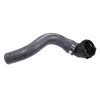 Radiator hose thermostat radiator
