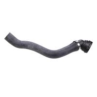 Radiator hose bottom radiator