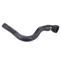 Radiator hose radiator bottom