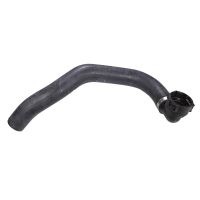 Radiator hose radiator bottom water outlet