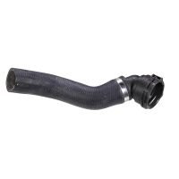Radiator hose radiator top water inlet