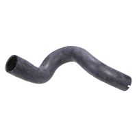 Radiator hose radiator water outlet