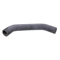 Radiator hose radiator water outlet